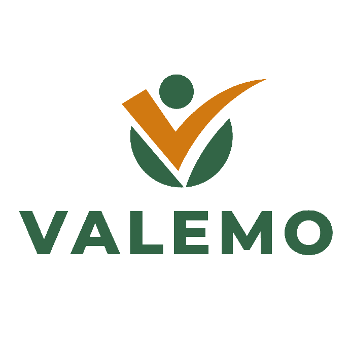 Valemo